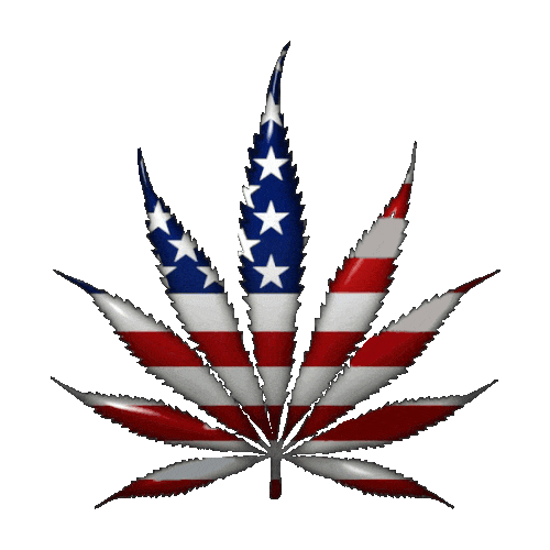 Flag_Leaf
