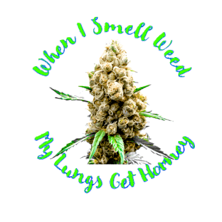  A nice selection of beautiful marijuana buds with bold flashing type around it that says 'when I smell it makes me horny' In neon colors