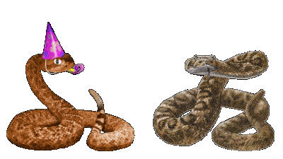 Rattlesnakes Partying and an old proverb about once a snake always a snake