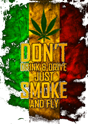 Smoke_And_Fly_2