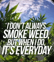 Smoke_Everyday_1