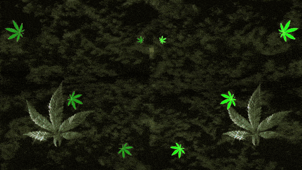 Weed_Math_1