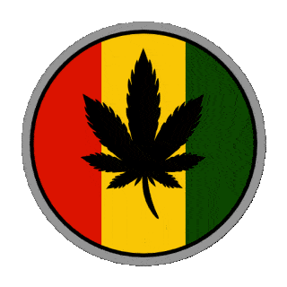 Weed_medicine_1