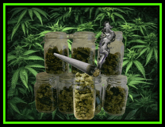  A 420 cannabis-themed animated GIF with jars of marijuana and a smoking blunt and a background of green cannabis leaves