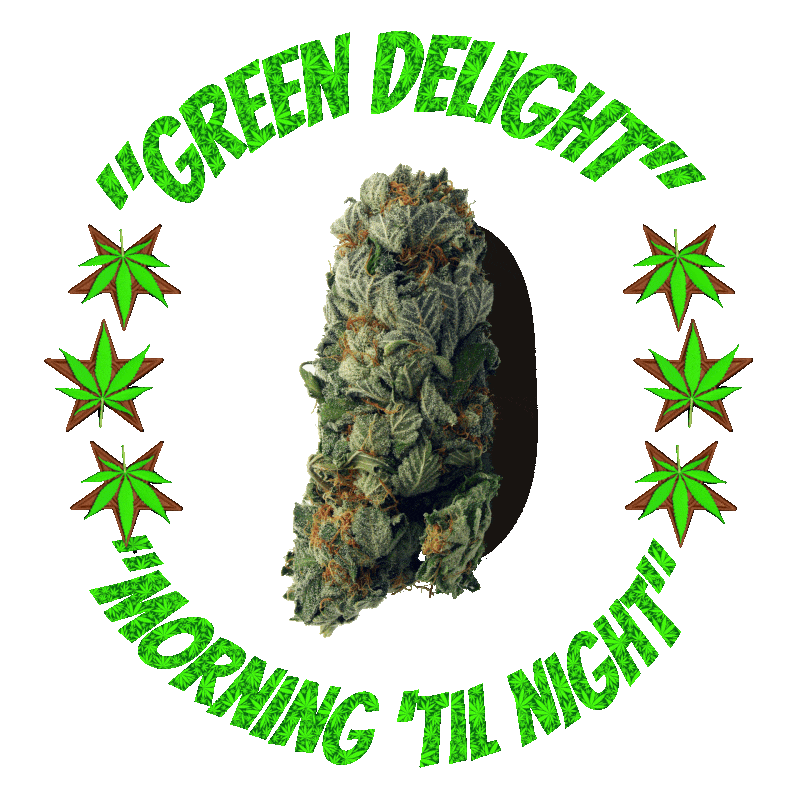  A collection of marijuana buds surrounded by the Jingle Green delight morning till night