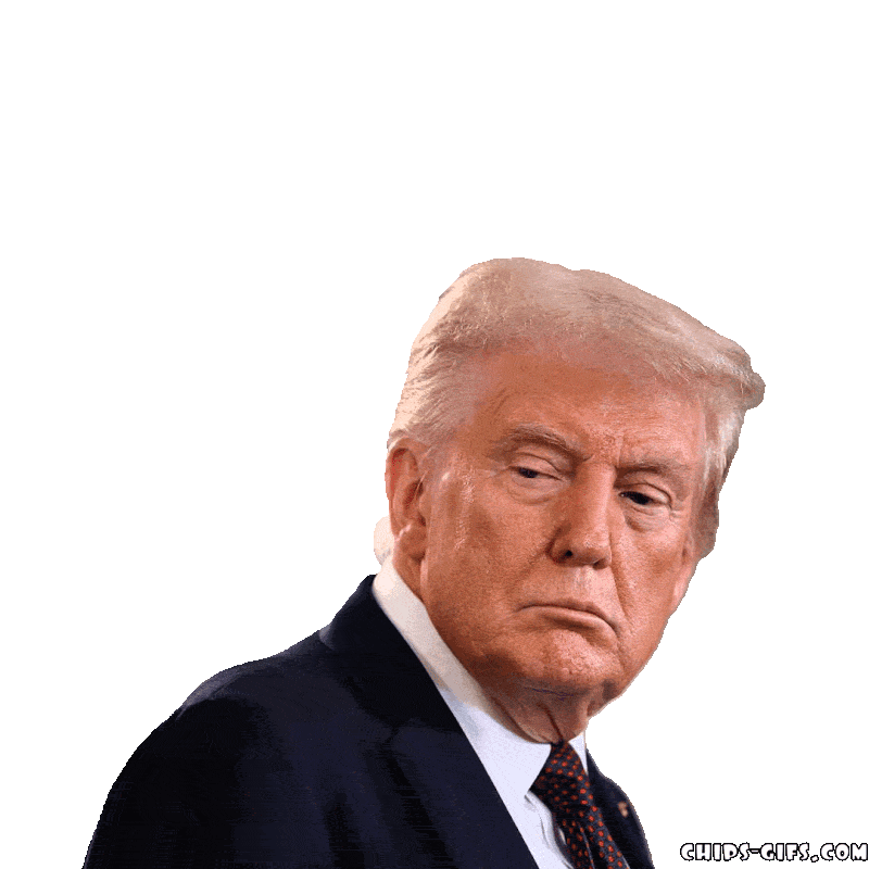 Kim Jong Un in Trump's head, along with Putin and Xi The top of Trump's head keeps popping up showing them all inside his head.