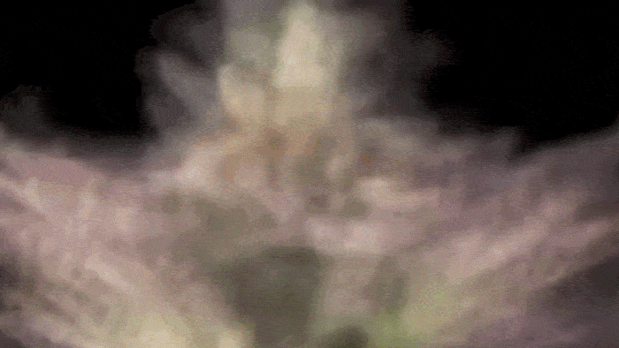  Close ups of turning and spinning marijuana buds With the words 'you either Like weed or you're wrong' On a black background