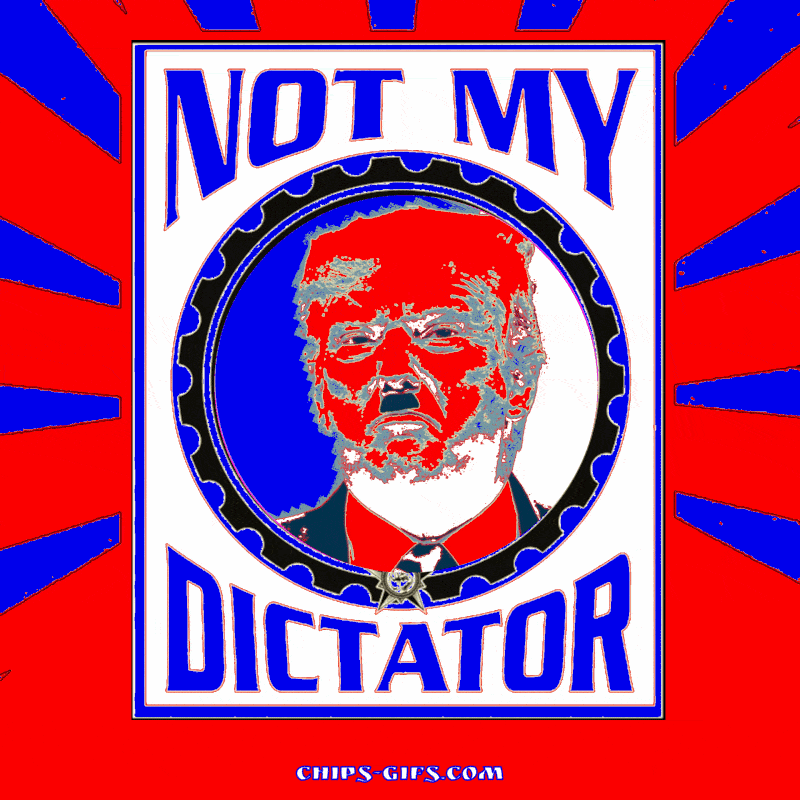  An anti Trump 'Not My Dictator' flashing sign GIF signifies opposition to donald trump