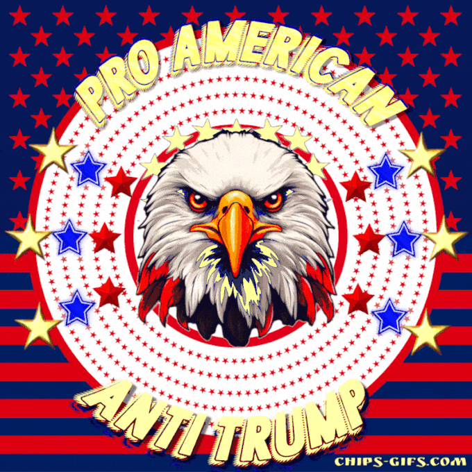 red white and blue stars, Stripes, and a winking bald eagle The bold flashing type is also in red white and blue and says Pro American anti Trump