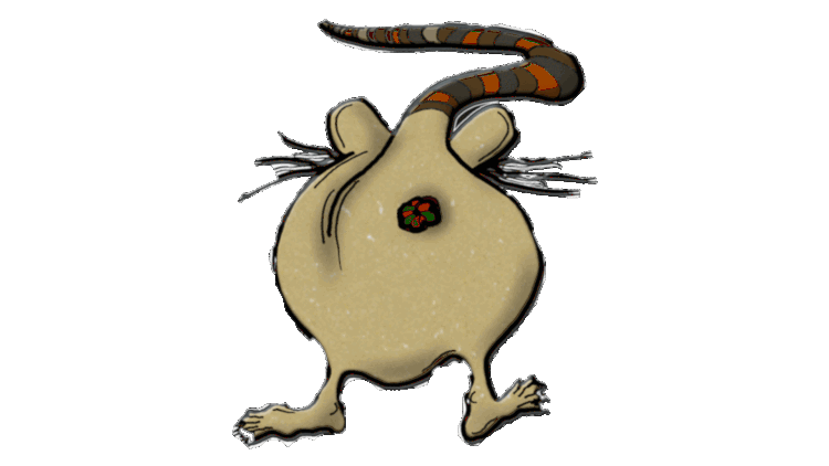 The rear end of a rat as it walks away from the viewer twitches back and forth With the old saying who gives a rat's ass