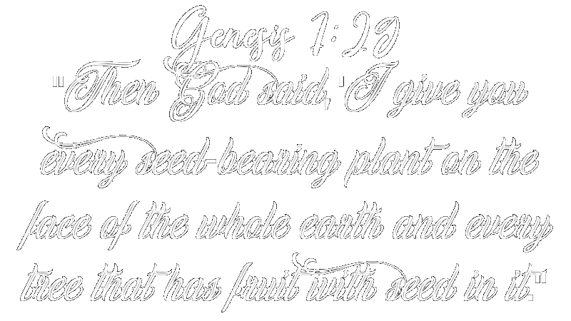 Genesis-all seed bearing plants
